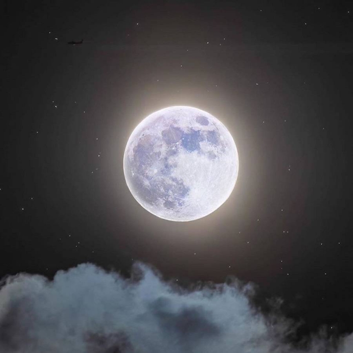 blue-moon-2020-2.jpg blue-moon-2020-2.jpg