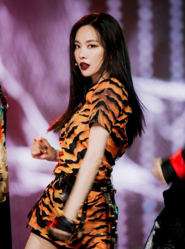 sis_03.jpg sis_03.jpg