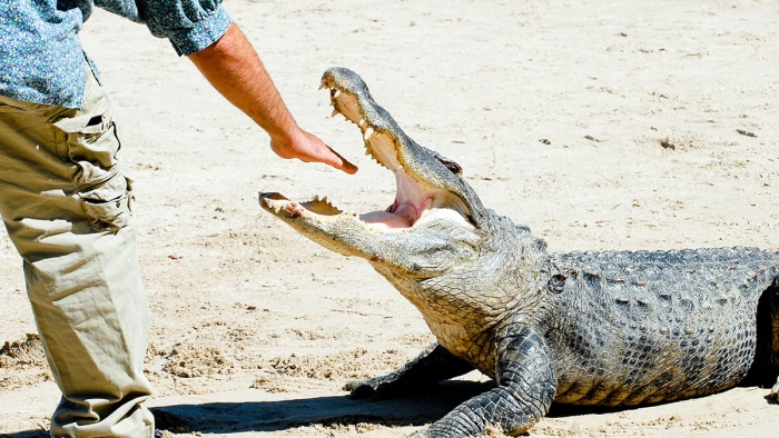 job-sep25-3.jpg job-sep25-3.jpg