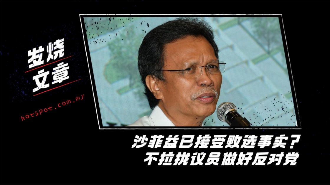shafie_24.jpg
