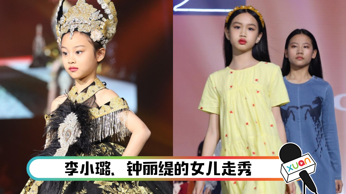lixiaoluzhonglitinver_cover.png