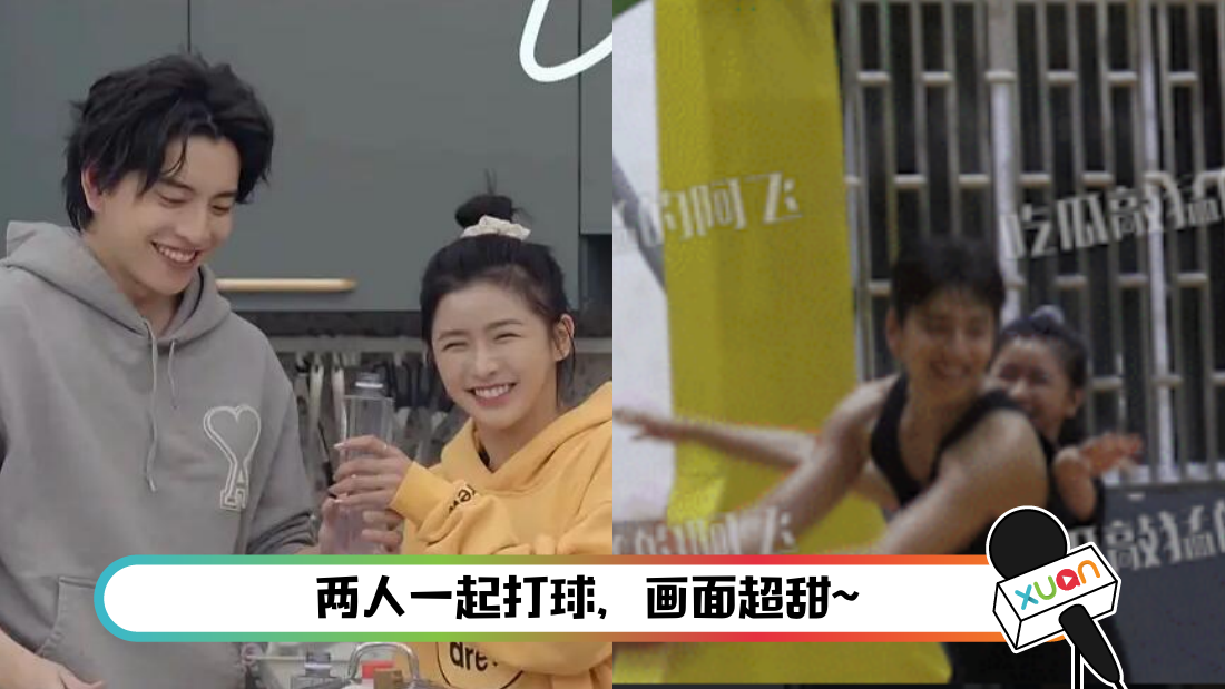wangdalucaizhuoyi-main.png