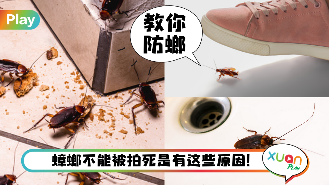 cockroach.png