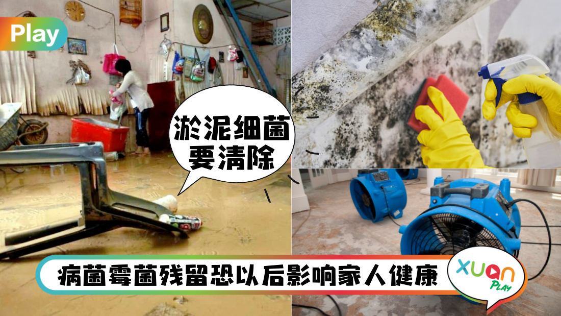 flooding-cleaning.png