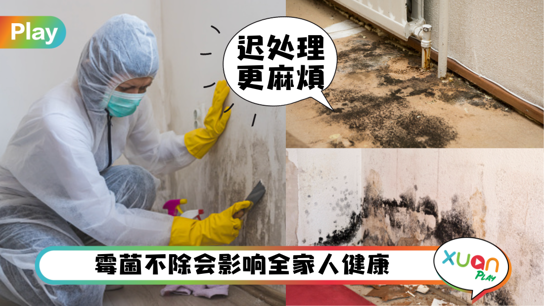 mold-cleaning.png