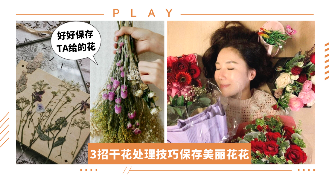 dryflower.png