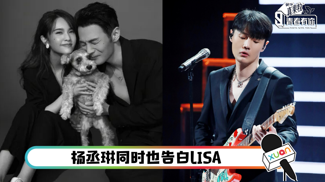 yangchenglin10bian_cover.png