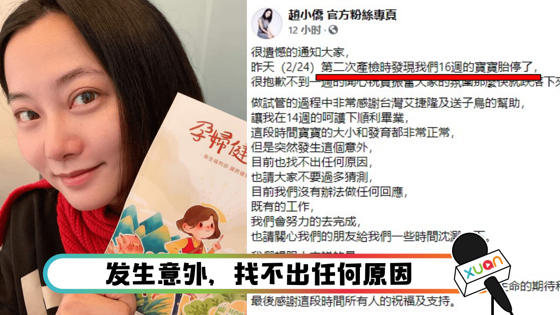 zhaoxiaotiaotaier_cover_1.png