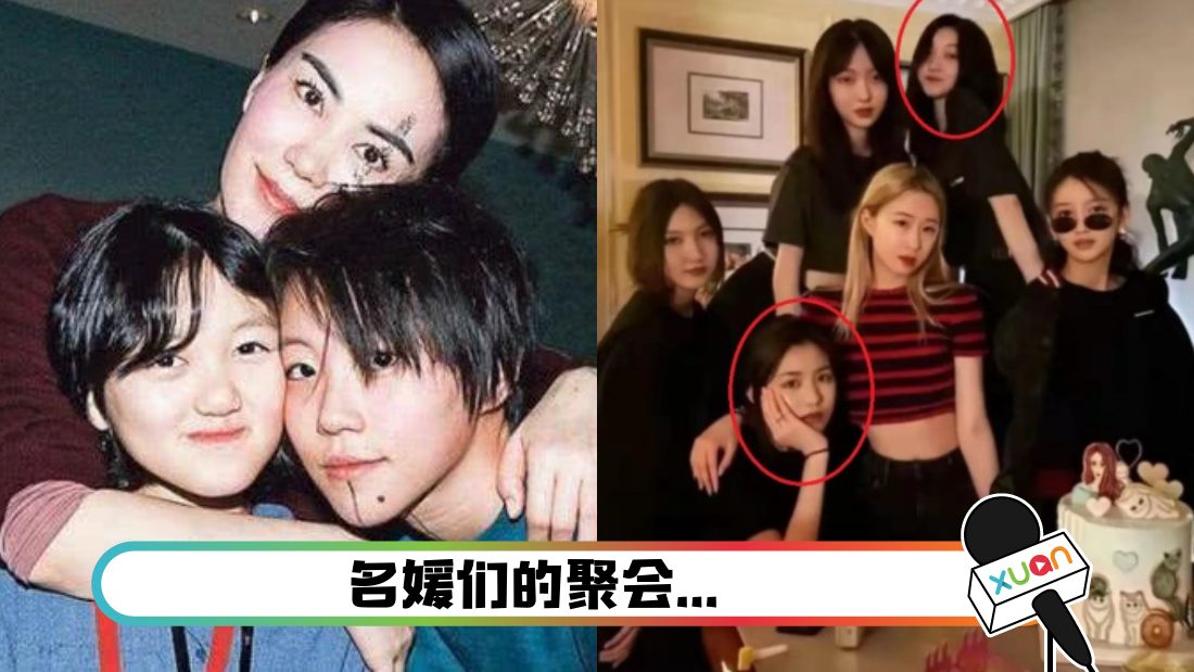 wangfeizhangziyinver_cover.png