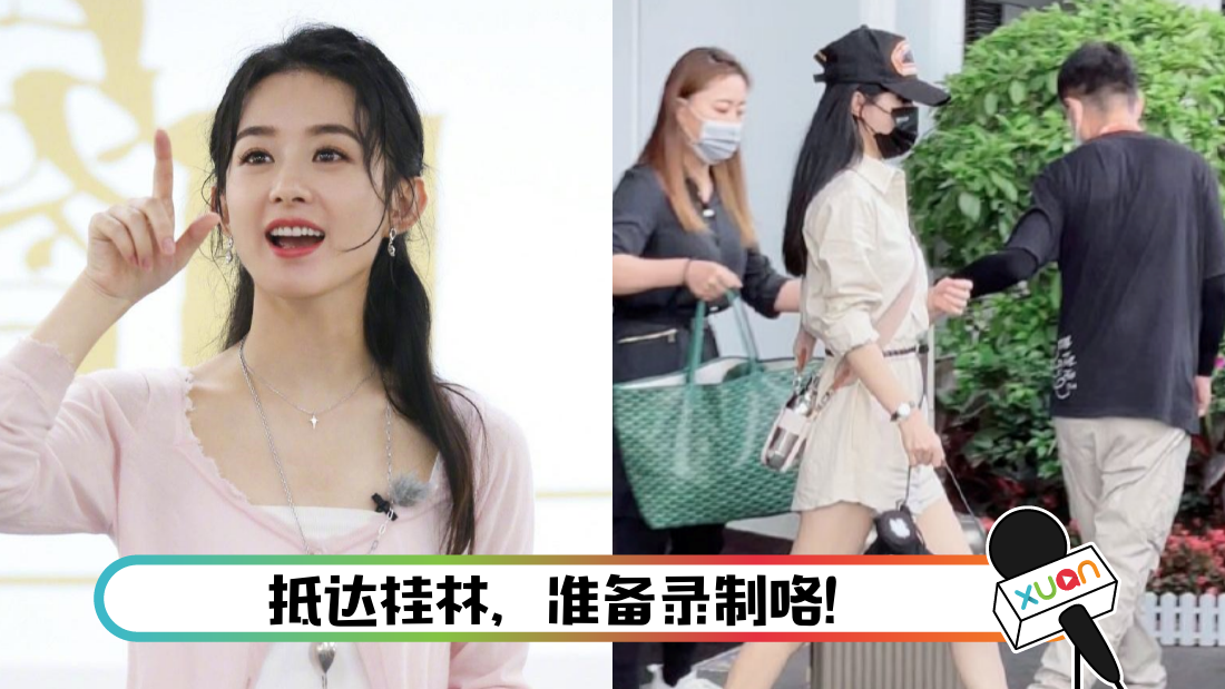 zhaoliyingzhongcanting5_cover.png