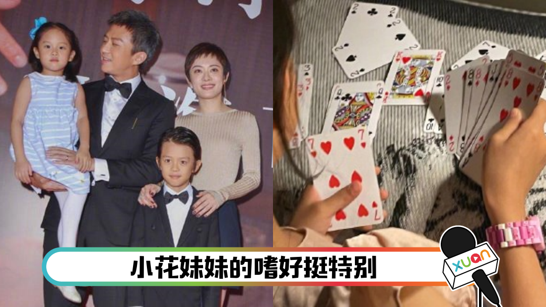 dengchaopukepai_cover.png