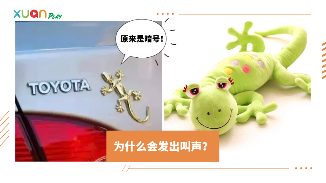 lizard-(1).png