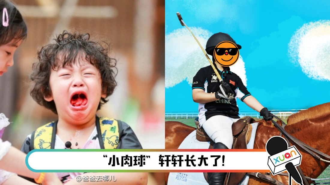 xuanxuan-main.png