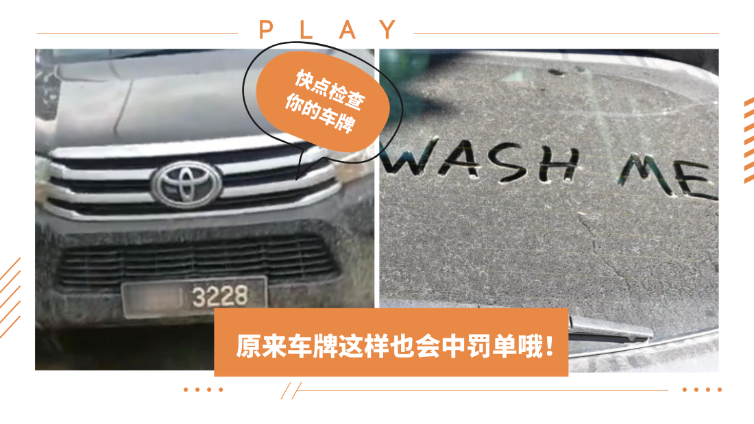 car-plate_2.png