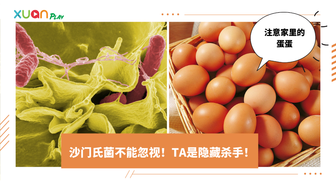 egg-(1).png