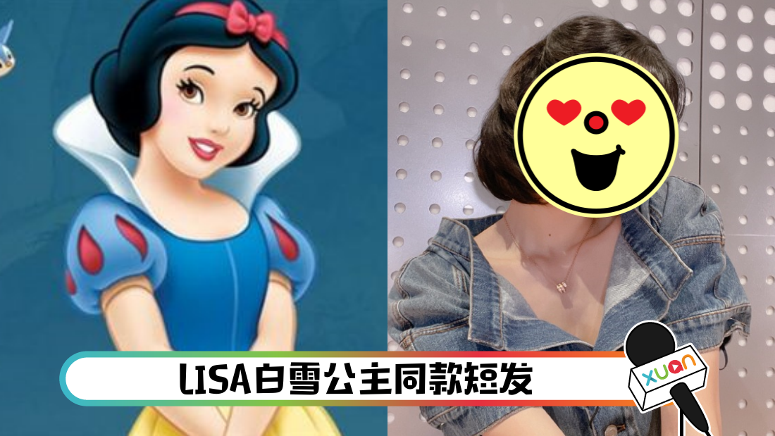 lisabaixuegongzhu_cover.png