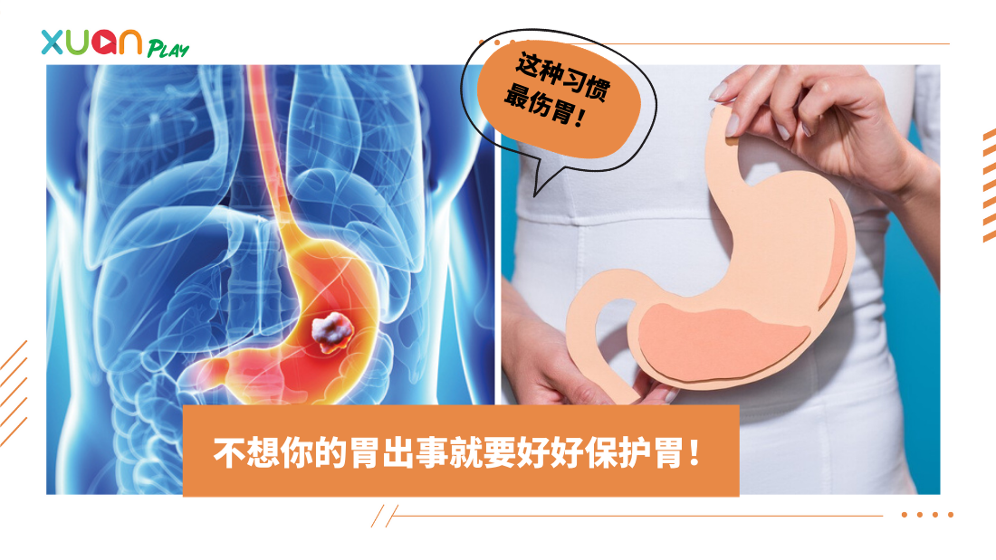 stomach-(1).png