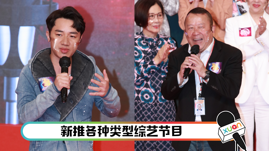 wangzulanpeiyin_cover.png