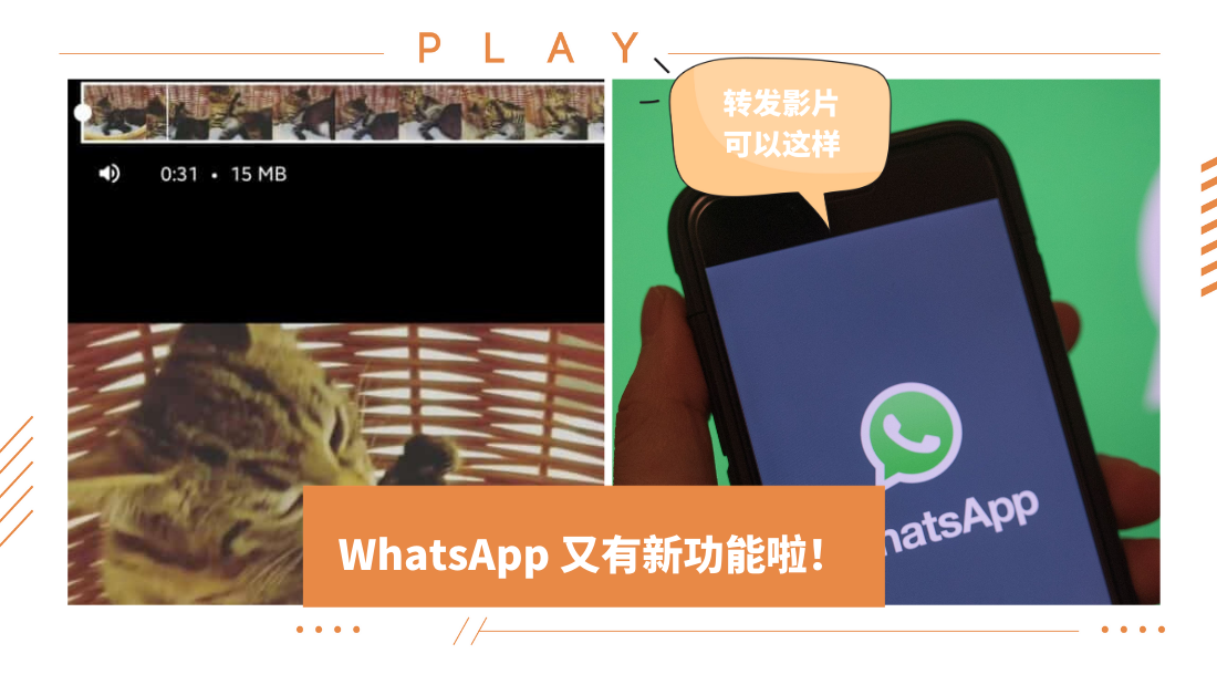 whatsapp.png