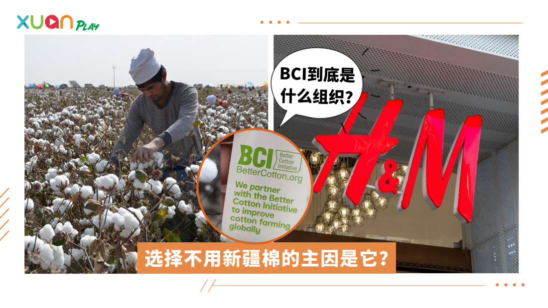 xinjiang-cotton.png