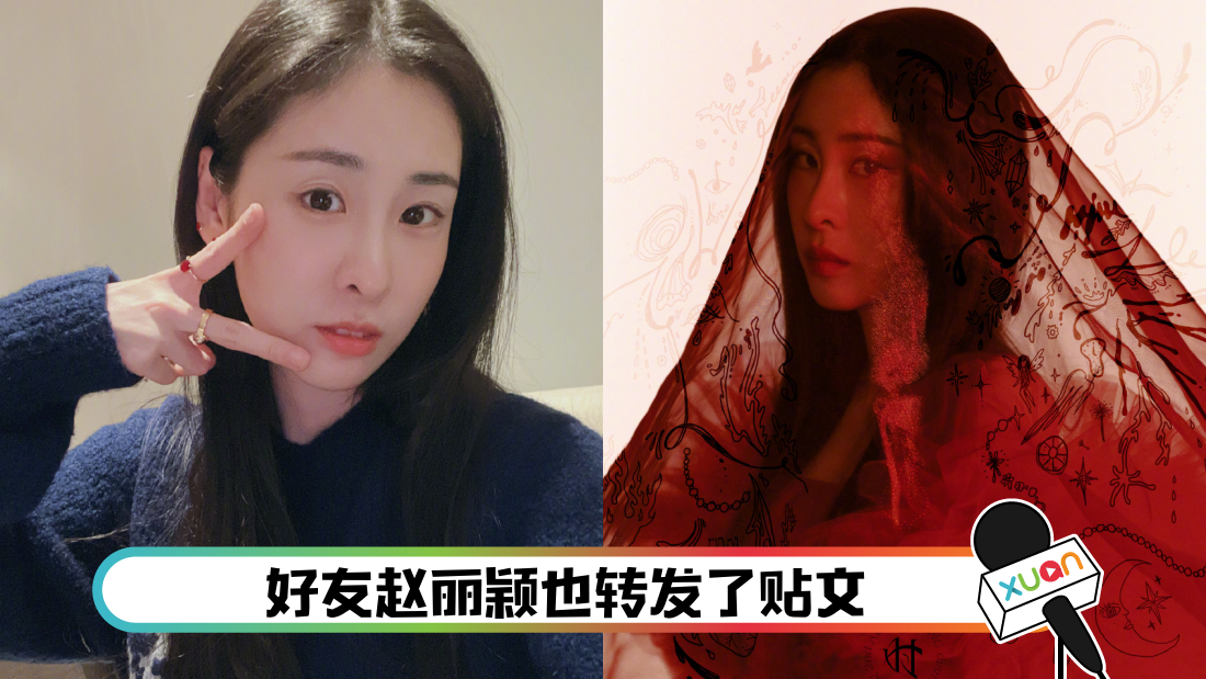 zhangbichentousha_cover.png