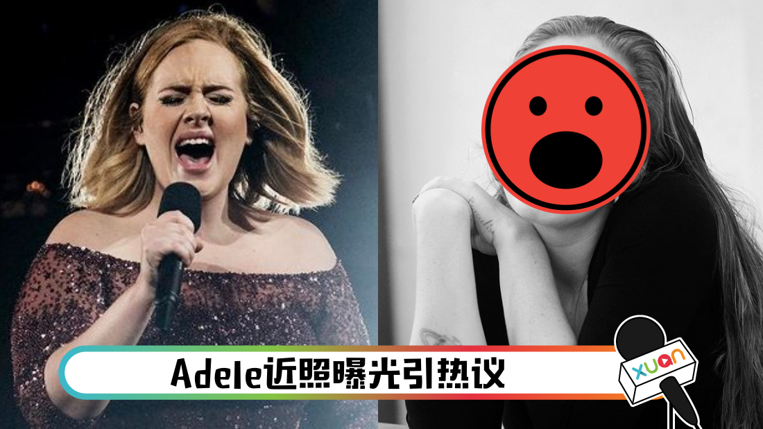 adele33sui_cover.png