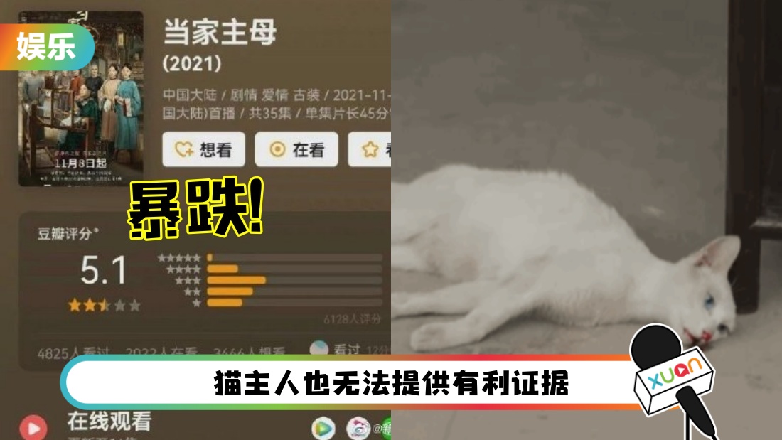 cat-main.jpg