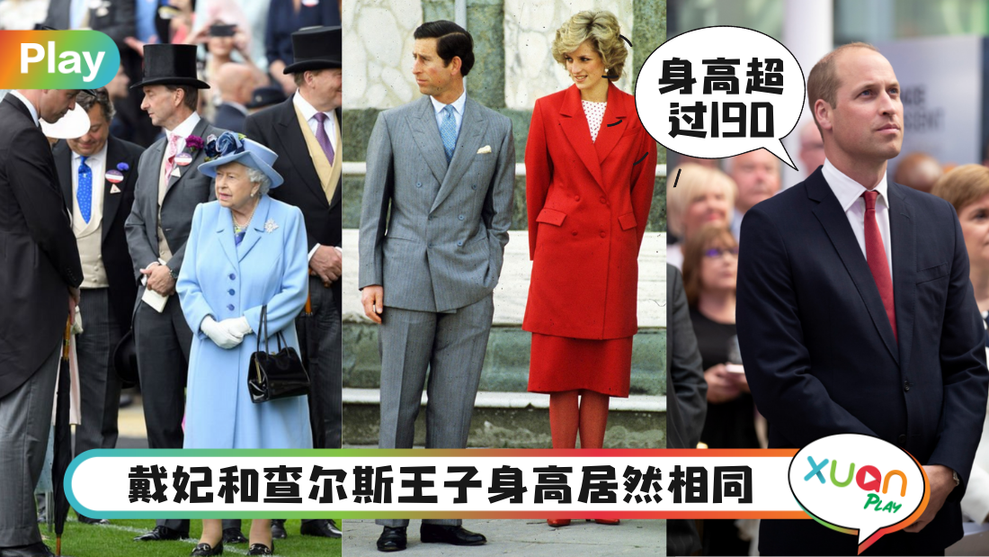 height-royal-family-member.png
