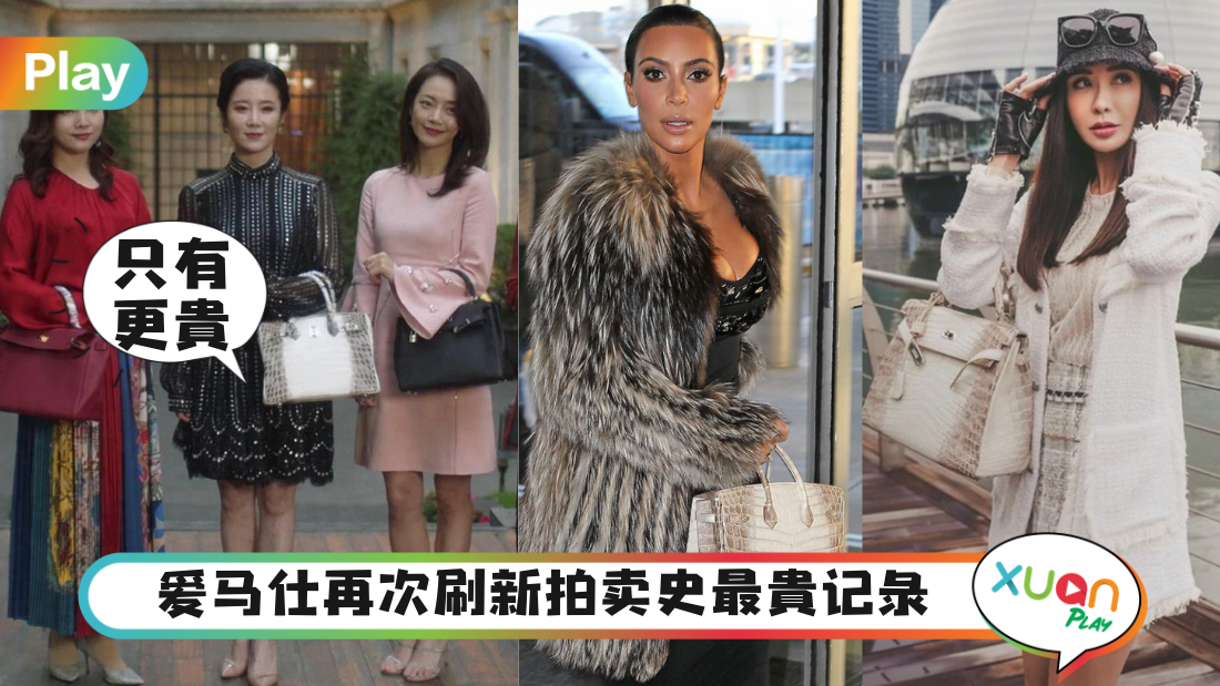 hermes-birkin-himalayan-bag.png