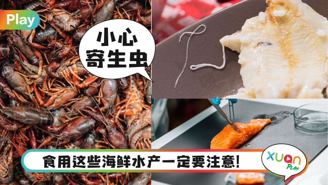 seafood-parasite.png