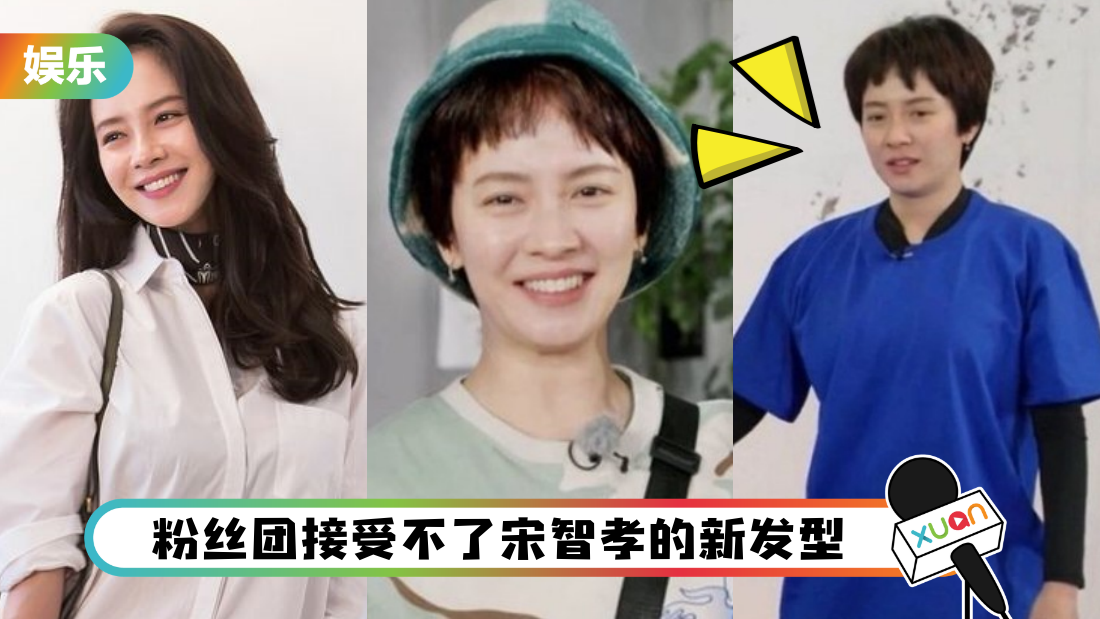 songzhixiaofensituan_cover.png