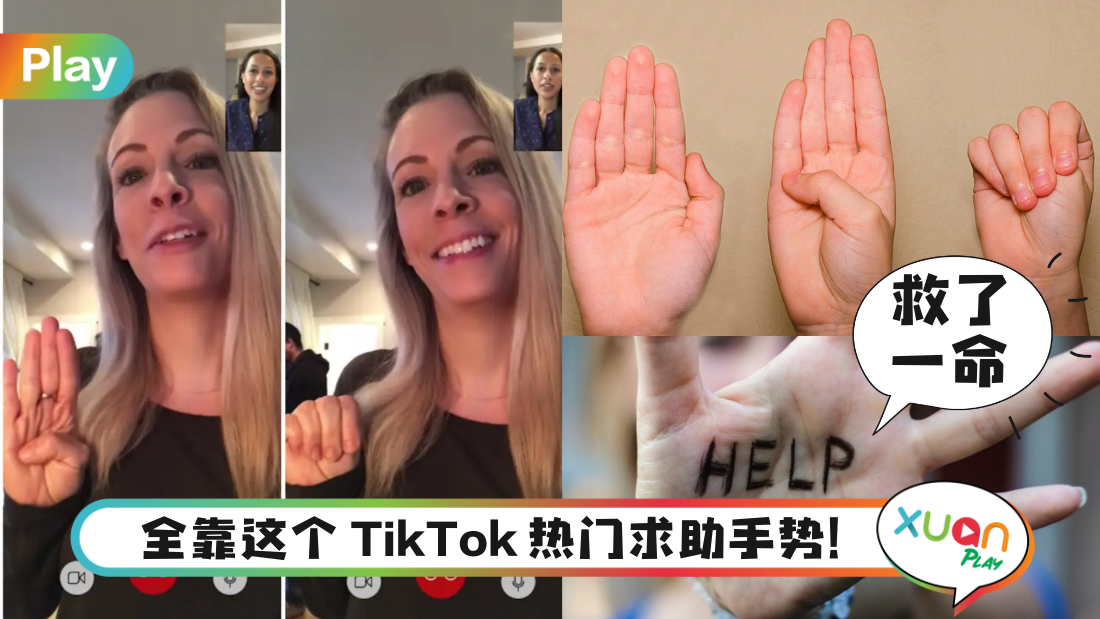 tiktok-signal.png