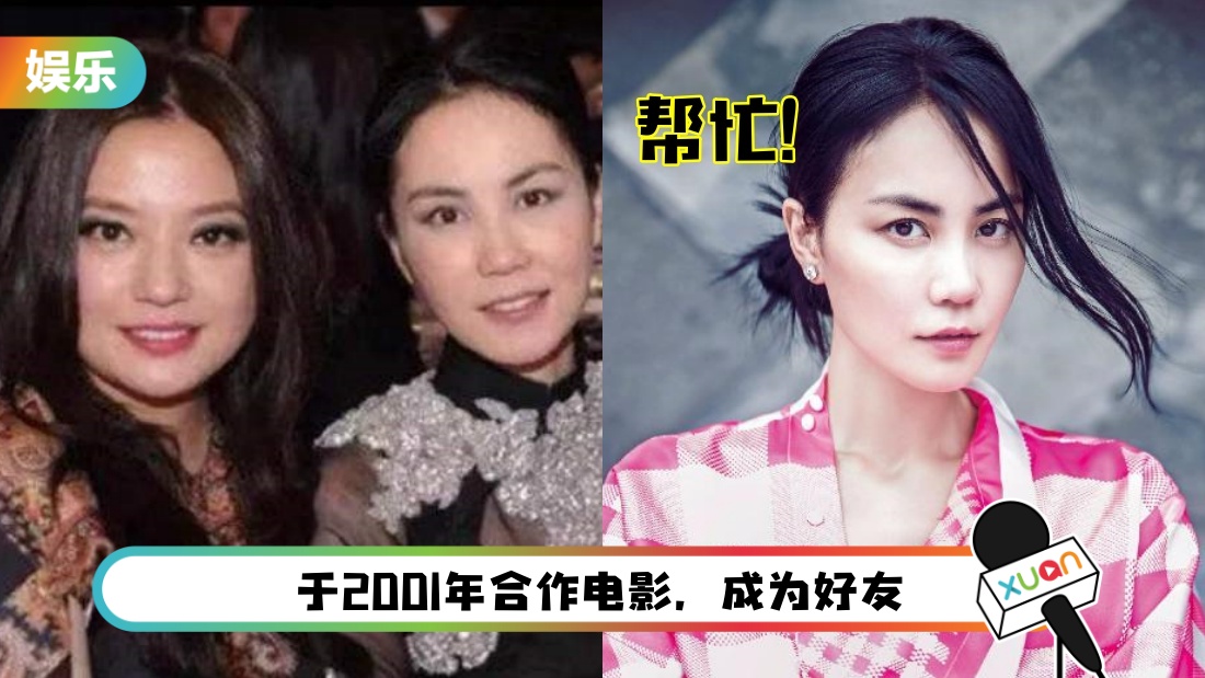 wangfei-main.jpg