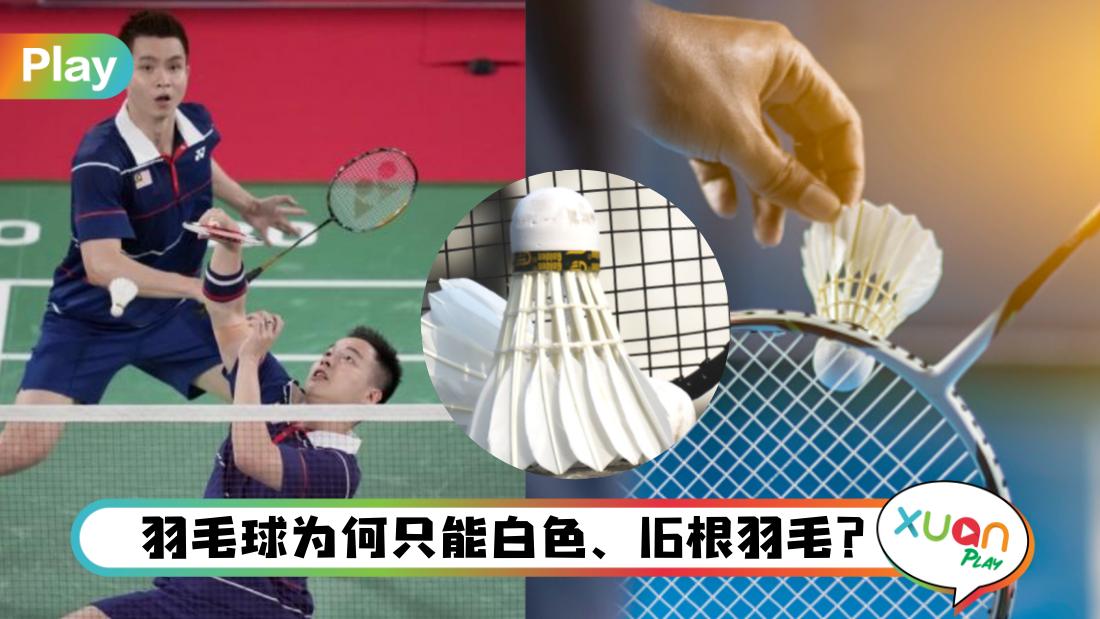 trivia-about-badminton-sport.jpg