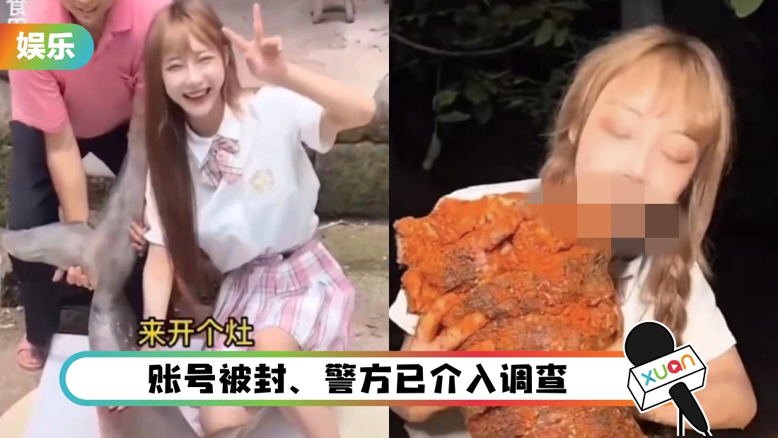 wanghongchishayu_cover.jpg