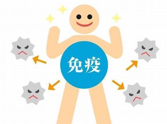 免疫力图