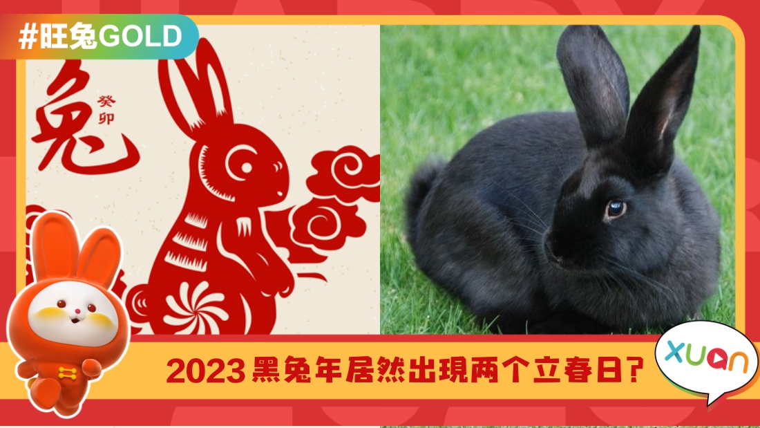 black-rabbit.jpg