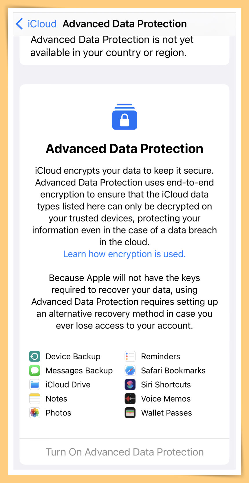 iCloud Data Protection