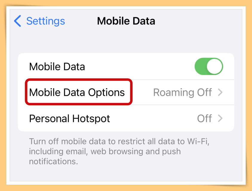 Click On Mobile Data Options