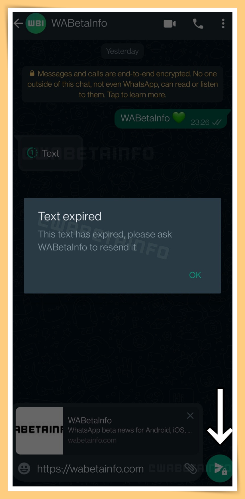 Text View Once