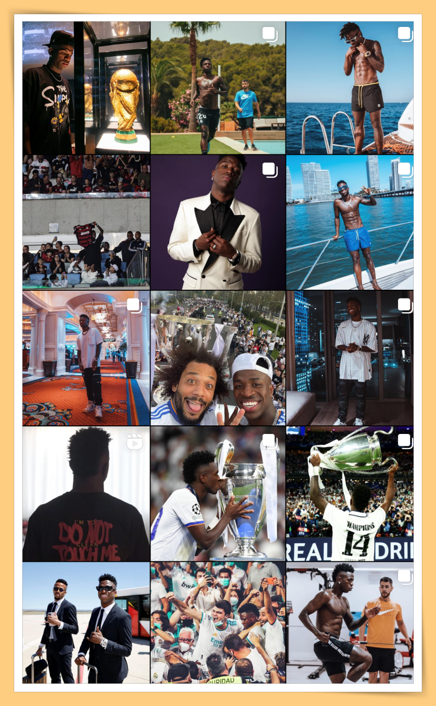 VinJr Ig 2