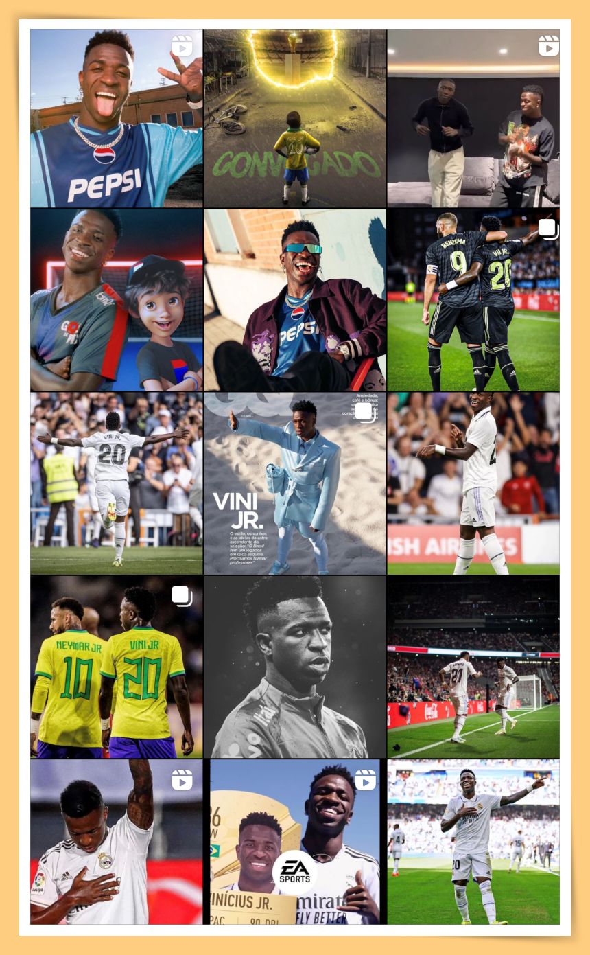 VinJr ig