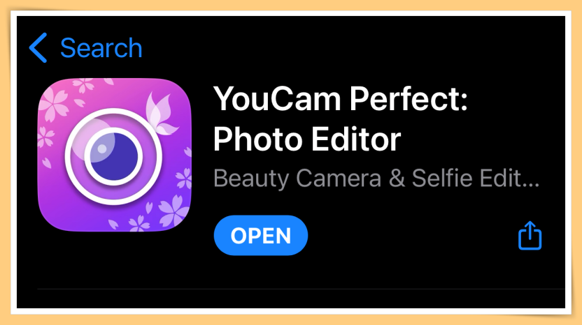 YouCam