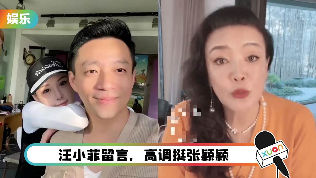 zhang-ying-ying-mai-cover.png