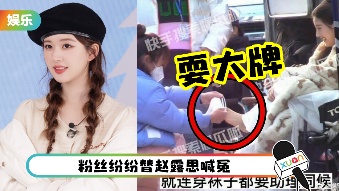 zhaolusi-da-pai-cover.png