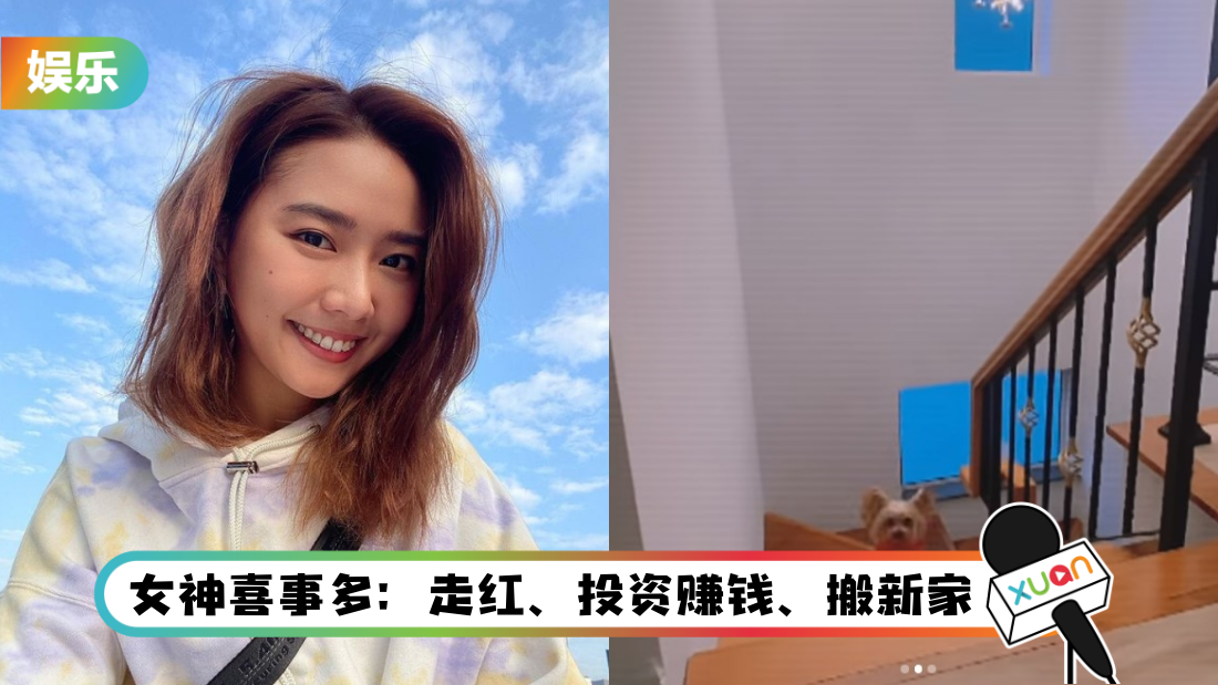 daizuyi-main.png