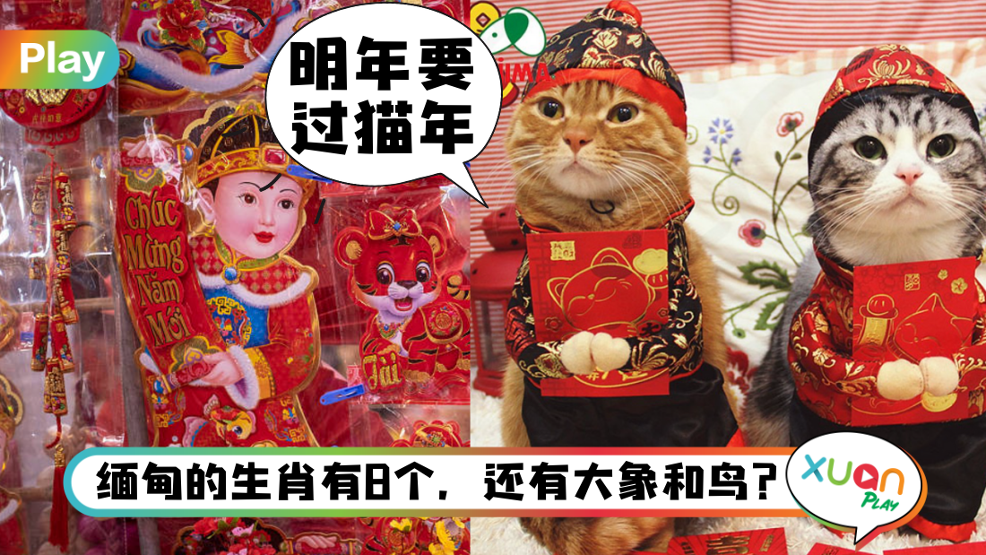 zodiac-cat.png