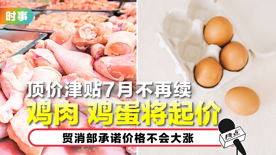 2-chicken-new.jpg