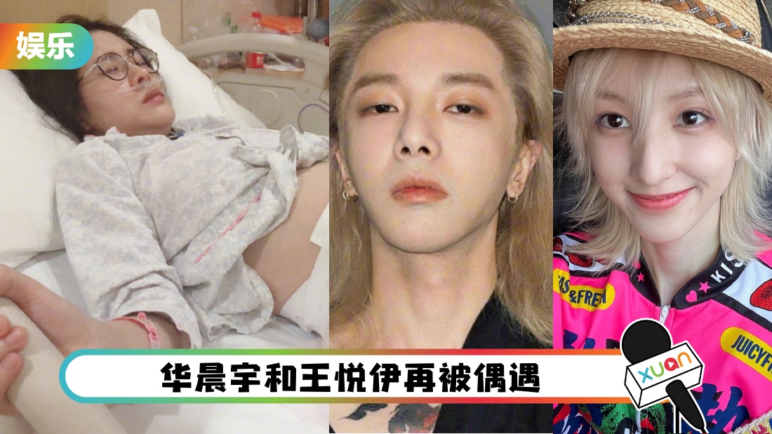 huachenyuwangyueyi_cover.jpg