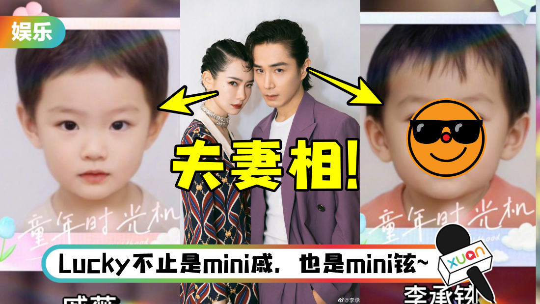 qiweilichengxuan-main.png